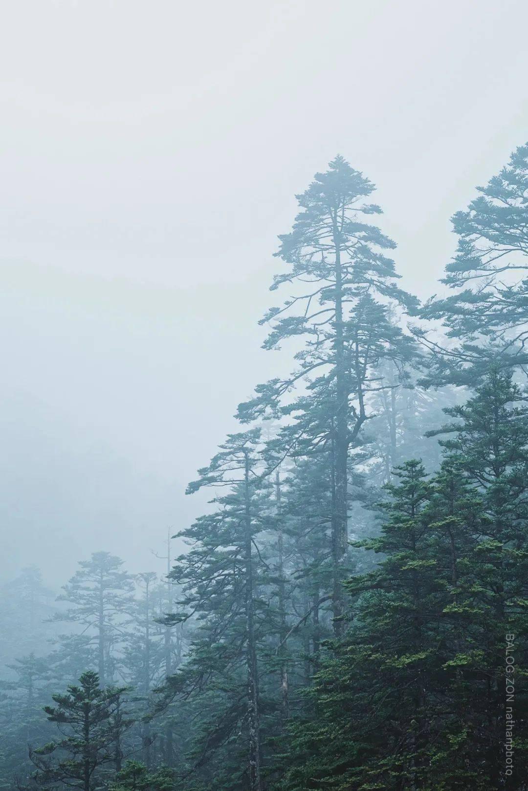 罗汉签第二百三十一签什么意思